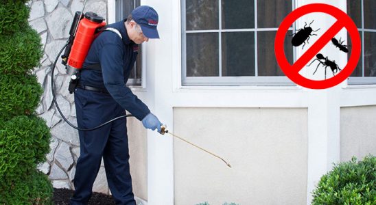 Güneysu Bit İlaçlama böcek ilaçlama ve haşere kontrolü — ilaclama-tr.com